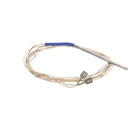 APW 4883185 PROBE RTD 60 W/0.19 DIA. X 3