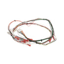 BUNN 41202.0012 WIRING HARN DOOR PC-JUICE (DISP SW)