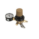 CORNELIUS 1060431 REGCO2 S 1X100 BLK POLY