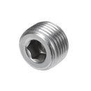 POWER SOAK 38674 PLUG 1/2-IN NPT 304 SS