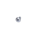 SCHAERER 3371685002 PT OVAL HEAD SCR. PH WASHER 35X8 GLVB