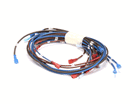 APW 2E-21851492 HARNESS