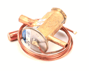 CORNELIUS 161921006 VALVE EXPANSION 1/2SZ