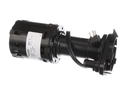 CORNELIUS 620204638 PUMP WATER 3000 RPM 230V