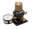CORNELIUS T5261SN (OLD 1060429) REGCO2 S 1X100 GOLD POLY