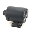 PITCO PT60130804 PMP 8GPM MOT .3HP 240V 50HZ