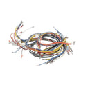 BLODGETT 20018 HARNESS WIRING INF 2SP