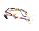 PITCO B6782501-C WRG BZL DIG2 W/DC SRTG SRTE