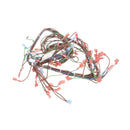 TRI-STAR AS-21818762 HARNESS; WIRE BCO-G & GDCO-G R