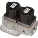 BASO G96AAQ-4 120V DUAL SOLENOID VALVE