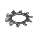 APW 89059