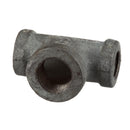 BLAKESLEE 17236