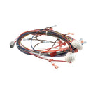 BLODGETT 51751