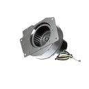 GILES 21801