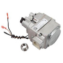 A. O. SMITH 100109915
