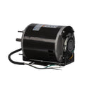 ACCUREX 309153