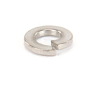 CHAMPION 106482