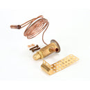 RANDELL RF VLV100