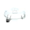 ROBOT COUPE R546