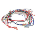 VULCAN VH00-498474-00060 HARNESS 60RRG WIRING