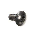 BLODGETT 39914 SCREW