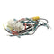 PITCO B6753101 WRG ENTR BOX DOM DD24R