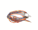 WHALEN COMPANY PQKSDT100/75 KLIXON: 3-WIRE AQUASTAT WITH BLUE-YELLOW