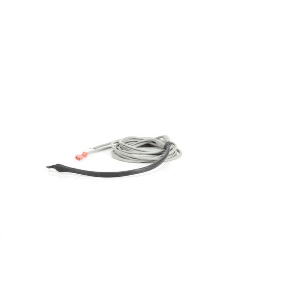 SILVER KING 29950