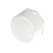 STERLING A10-2067