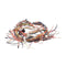 AMANA 20161501 HARNESS-OVEN