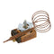 APW 1301100 THERMOSTAT PLASTIC COATED 60-