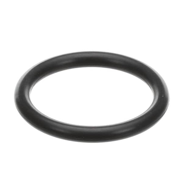 AMERICAN DISH SERVICE 289-6611 GASKET O-RING WASH FILTER