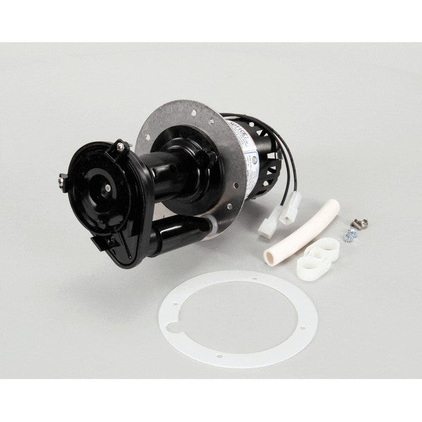 BUNN 07097.0000 PUMP MOTOR KIT 120V 60HZ