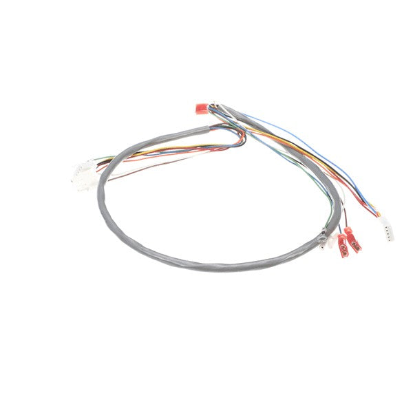 BUNN 41202.0007 WIRING HARNESS DOOR PC-JUICE