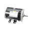 CARRIER HD56FL651