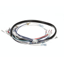 CHAMPION 0509039 HARNESS CONTROL BOX DF/SW