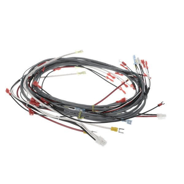 CHAMPION 0512538-1 HARNESS WIRING DFM7.5