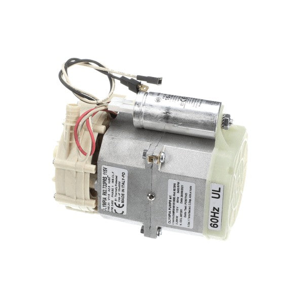 CHAMPION 0514317 PUMP RINSE 115V HR M4.2
