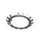 HOBART WL-012-10 WASHER LOCK BEARING 1.792 X 2.734