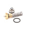 LVO 519-5024 SPRAY GUN KIT