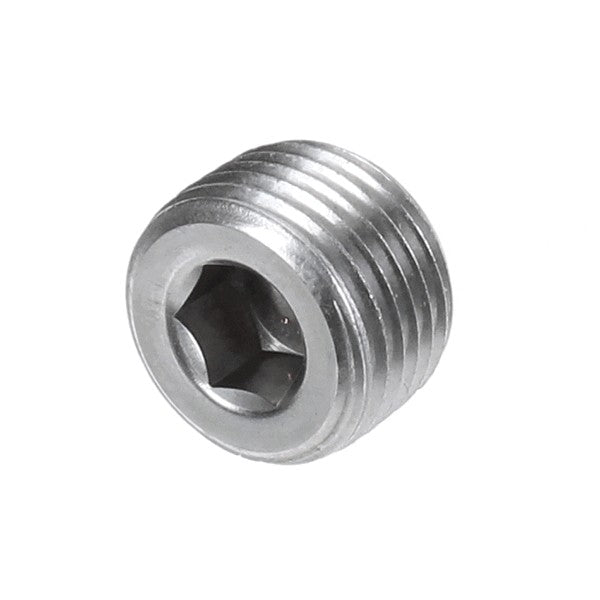 POWER SOAK 38674 PLUG 1/2-IN NPT 304 SS