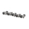 RATIONAL 10.01.214P INTERLOCKING TOOTH SCREW M5X10