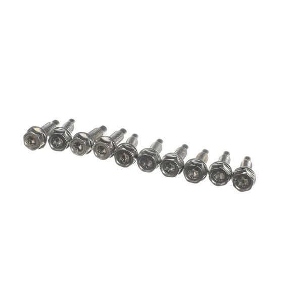 RATIONAL 10.01.892P HEX SCREW M5X20 TORX T20