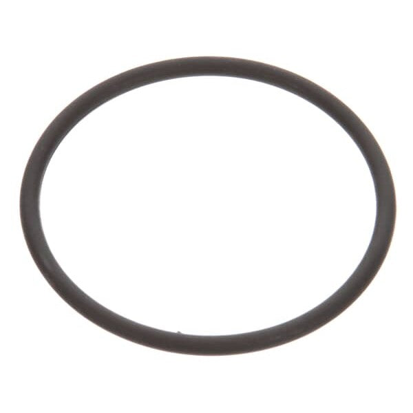 STERO P57-2519 O RING #228 VITON MANFLD ADAPT