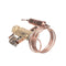 TRAULSEN 325-60080-44 THERMO EXPANSION VALVE AA1/5HW25 R290/LT I-1/4 O-
