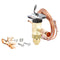MAVRIK 8409358 EXP VALVE THRMSTATIC1/4 IN 1/2 OUT 60 CAP