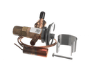 AAON R15740 BBIZE-3-GA 3/8-INCH X 7/8-INCH TXV