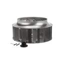 ACCUREX 877386 WHL; CW; A; QT; 14 X 4.875; 3/4 QT