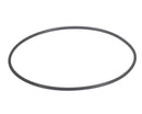 AMERICAN DISH SERVICE 089-6313 GASKET O'RING WASH PUMP ASQ II