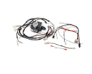 ALLIANCE LAUNDRY SYSTEMS D519156 KIT CONV-TIMER D516411 TO RS